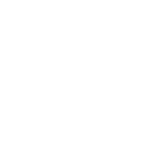 Coaching de empleabilidad Ejecutiva - Profesional